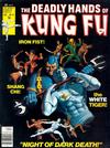 Cover for The Deadly Hands of Kung Fu (Marvel, 1974 series) #31