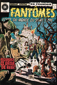 Cover Thumbnail for Fantômes Échos du Monde du Spiritisme (Editions Héritage, 1972 series) #14