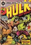 Cover for L'Incroyable Hulk (Editions Héritage, 1968 series) #38