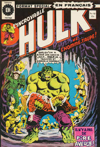 Cover Thumbnail for L'Incroyable Hulk (Editions Héritage, 1968 series) #48