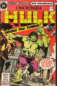 Cover for L'Incroyable Hulk (Editions Héritage, 1968 series) #65