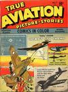 Cover for True Aviation Picture-Stories (Parents' Magazine Press, 1943 series) #7