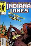 Cover Thumbnail for The Further Adventures of Indiana Jones (1983 series) #13 [Direct]