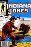 Cover Thumbnail for The Further Adventures of Indiana Jones (1983 series) #22 [Newsstand]