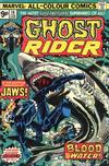 Cover Thumbnail for Ghost Rider (1973 series) #16 [British]