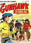 Cover for The Gunhawk (Marvel, 1950 series) #17