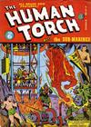 Cover for The Human Torch (Marvel, 1940 series) #6