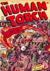 Cover for The Human Torch (Marvel, 1940 series) #15