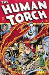 Cover for The Human Torch (Marvel, 1940 series) #19