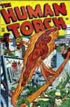 Cover for The Human Torch (Marvel, 1940 series) #20