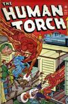 Cover for The Human Torch (Marvel, 1940 series) #22