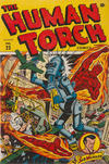 Cover for The Human Torch (Marvel, 1940 series) #23