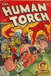 Cover for The Human Torch (Marvel, 1940 series) #24