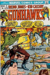 Cover Thumbnail for Gunhawks (Marvel, 1972 series) #3