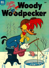 Cover for Walter Lantz Woody Woodpecker (Dell, 1952 series) #16