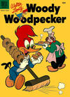 Cover for Walter Lantz Woody Woodpecker (Dell, 1952 series) #29
