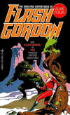 Cover for The Amazing Adventures of Flash Gordon (Tempo Books, 1979 series) #17155 [4]