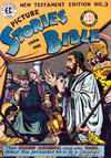 Cover for Picture Stories from the Bible New Testament (EC, 1946 series) #3