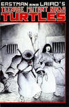 Cover for Teenage Mutant Ninja Turtles (Mirage, 1984 series) #17