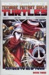 Cover for Teenage Mutant Ninja Turtles (Mirage, 1984 series) #21