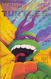 Cover for Teenage Mutant Ninja Turtles (Mirage, 1984 series) #22