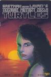 Cover for Teenage Mutant Ninja Turtles (Mirage, 1984 series) #28