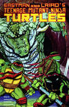 Cover for Teenage Mutant Ninja Turtles (Mirage, 1984 series) #45