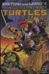 Cover for Teenage Mutant Ninja Turtles (Mirage, 1984 series) #47