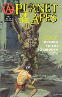Cover for Planet of the Apes (Malibu, 1990 series) #10