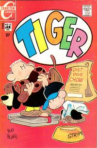 Cover Thumbnail for Tiger (Charlton, 1970 series) #6