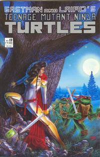 Cover Thumbnail for Teenage Mutant Ninja Turtles (Mirage, 1984 series) #13