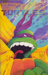 Cover for Teenage Mutant Ninja Turtles (Mirage, 1984 series) #22