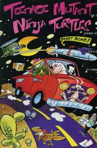 Cover for Teenage Mutant Ninja Turtles (Mirage, 1984 series) #39