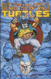 Cover for Teenage Mutant Ninja Turtles (Mirage, 1984 series) #48