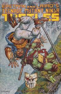 Cover for Teenage Mutant Ninja Turtles (Mirage, 1984 series) #49