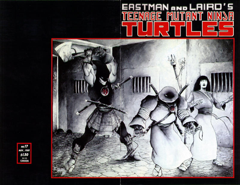 Cover for Teenage Mutant Ninja Turtles (Mirage, 1984 series) #17