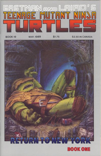 Cover for Teenage Mutant Ninja Turtles (Mirage, 1984 series) #19