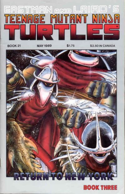 Cover for Teenage Mutant Ninja Turtles (Mirage, 1984 series) #21