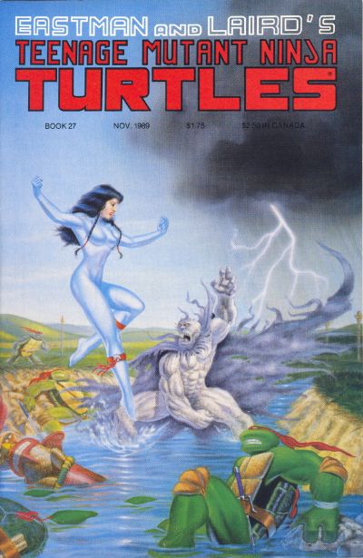 Cover for Teenage Mutant Ninja Turtles (Mirage, 1984 series) #27