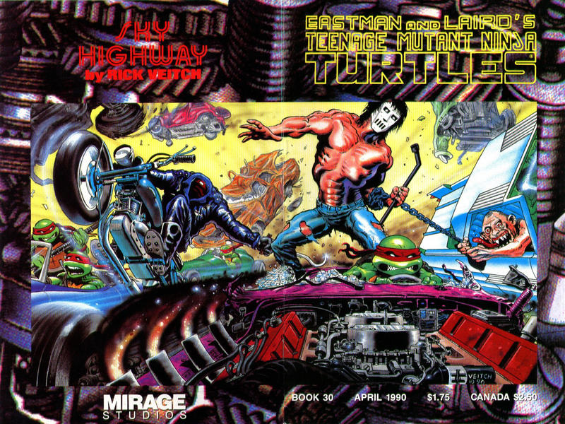 Cover for Teenage Mutant Ninja Turtles (Mirage, 1984 series) #30