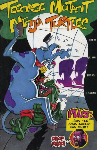 Cover for Teenage Mutant Ninja Turtles (Mirage, 1984 series) #38