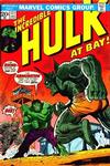 Cover for The Incredible Hulk (Marvel, 1968 series) #171