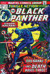 Cover for Jungle Action (Marvel, 1972 series) #11