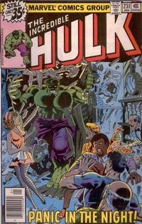 Cover Thumbnail for The Incredible Hulk (Marvel, 1968 series) #231 [Regular Edition]