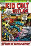 Cover for Kid Colt Outlaw (Marvel, 1949 series) #163