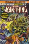 Cover for Man-Thing (Marvel, 1974 series) #10 [Regular]
