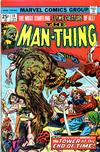 Cover for Man-Thing (Marvel, 1974 series) #14