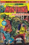 Cover for Man-Thing (Marvel, 1974 series) #19 [Regular]