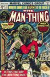 Cover Thumbnail for Man-Thing (1974 series) #22 [Regular Edition]
