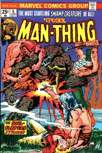 Cover Thumbnail for Man-Thing (Marvel, 1974 series) #6